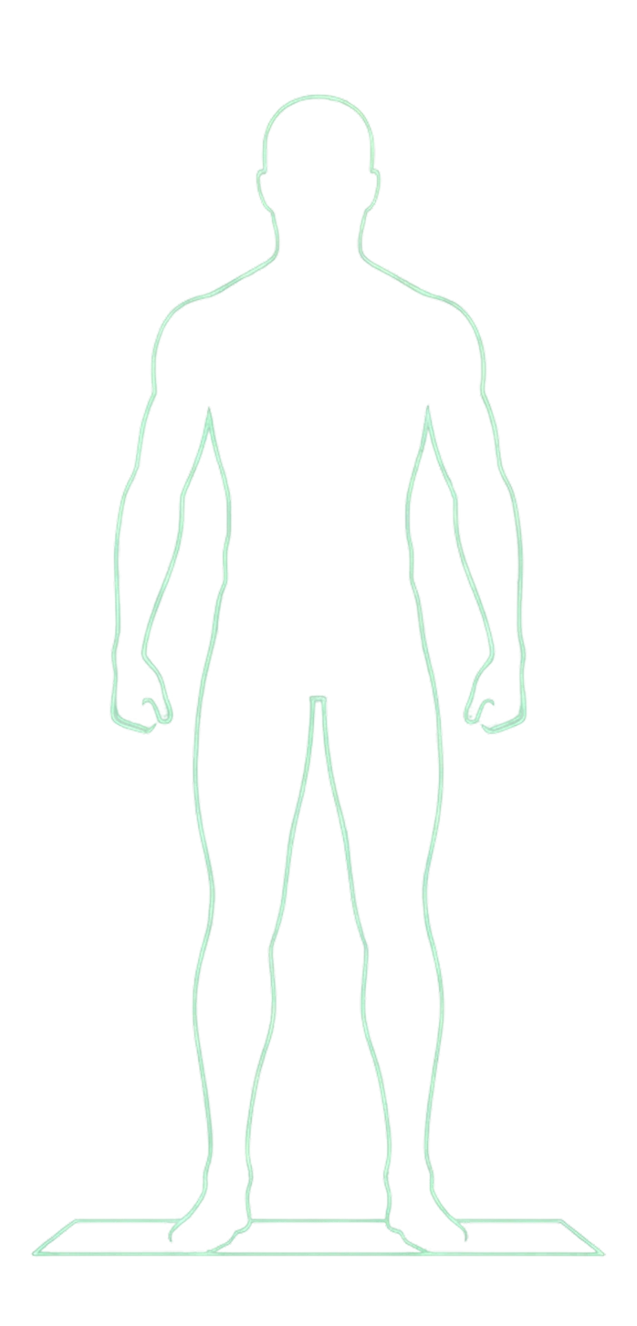 Body composition illustration